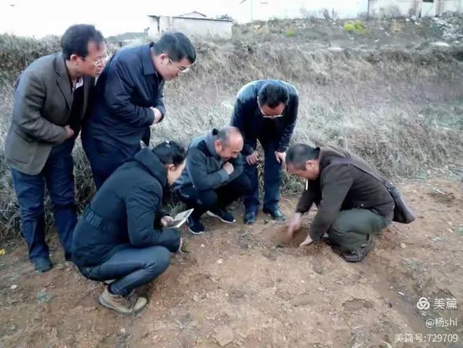 省林科院王院长到云南滇香国色农业科技牡丹基地考察