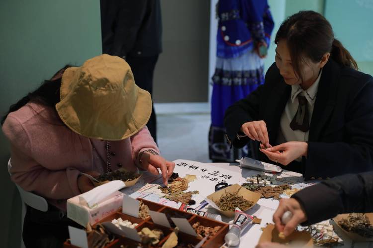 贵阳信息科技学院携手贵苗伊 "黔地本草经"举办贵州中草药文创活动