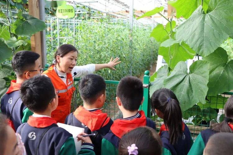 &mdash;东城小学蔬菜科技博览会研学纪实