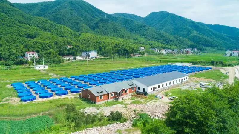 浙江省淡水水产研究所与亲苗科技 协同创新推动淡水渔业高质量发展