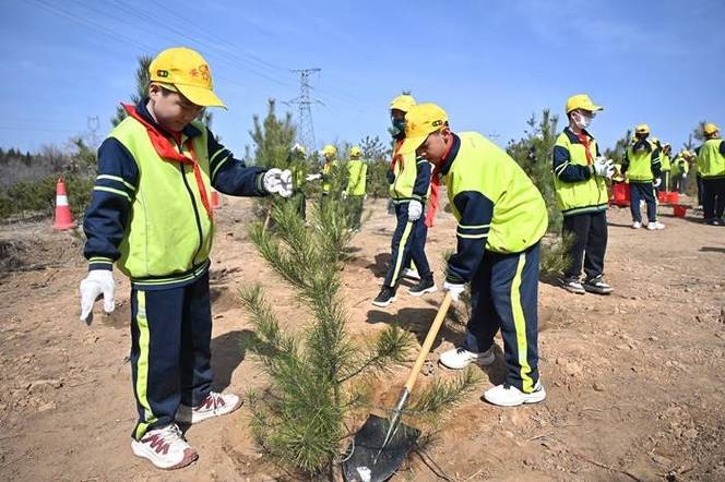 播种希望，收获成长——一场别开生面的种植实践活动