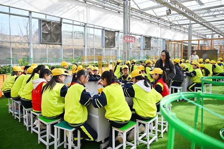 亲苗科技 分工协作中的种植实践与科技体验