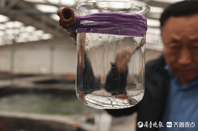 从靠天吃饭到科技兴海 东港区海洋渔业的高质量