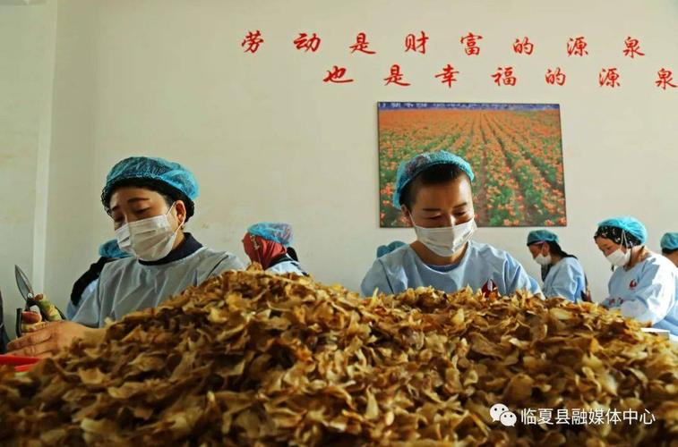 镜头里的乡土深情——评贺双建摄影作品《干群一家亲》与《高效农业科技园 亲苗科技》